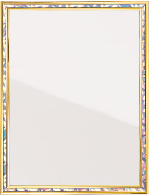 HOLOGRAPHIC FRAME 6" X 8 20 STD PACK 120 MASTE