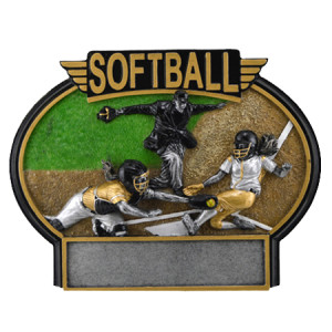 Btx752 Softball 2